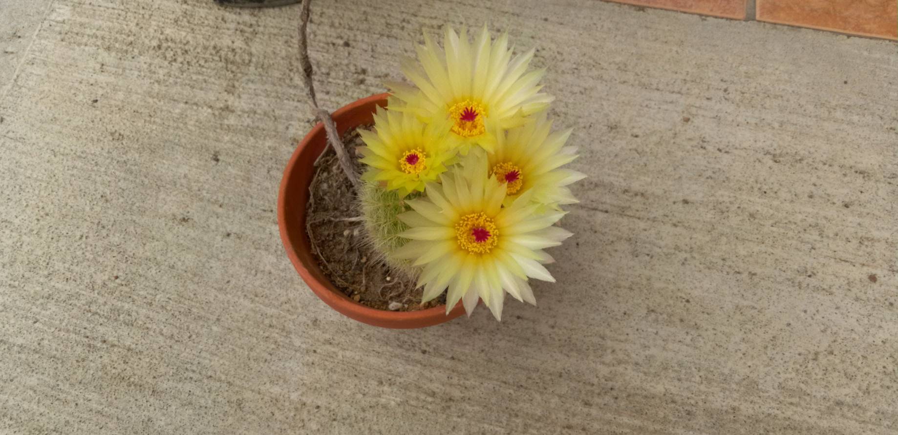 性教育本を読み返しながら、性の話は深いな！という対話を始めます～