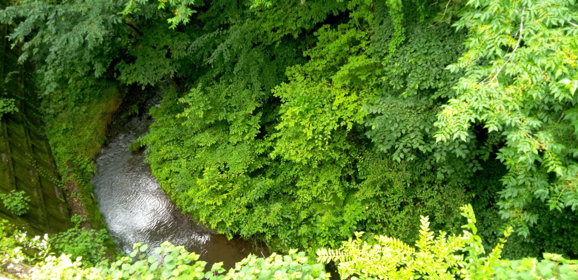 《対話・自己愛と性no.3 》相手を信頼しなかったら、恋愛しませんよ。「初恋は初めての他人」とは、こどもが自分基準で人を測ってきたから、他人になる？