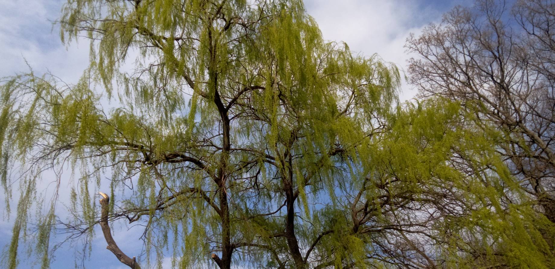 ～対話／自己愛と性　no.8 ～