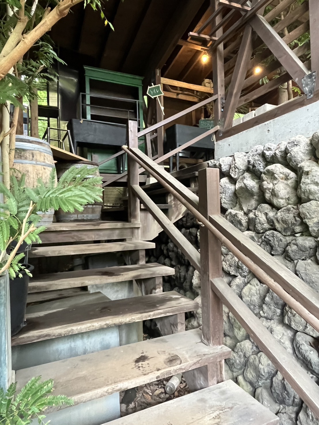 2025.3.12 深夜呼吸困難となり、救急車で救命センターへ入院。 4.9 退院。