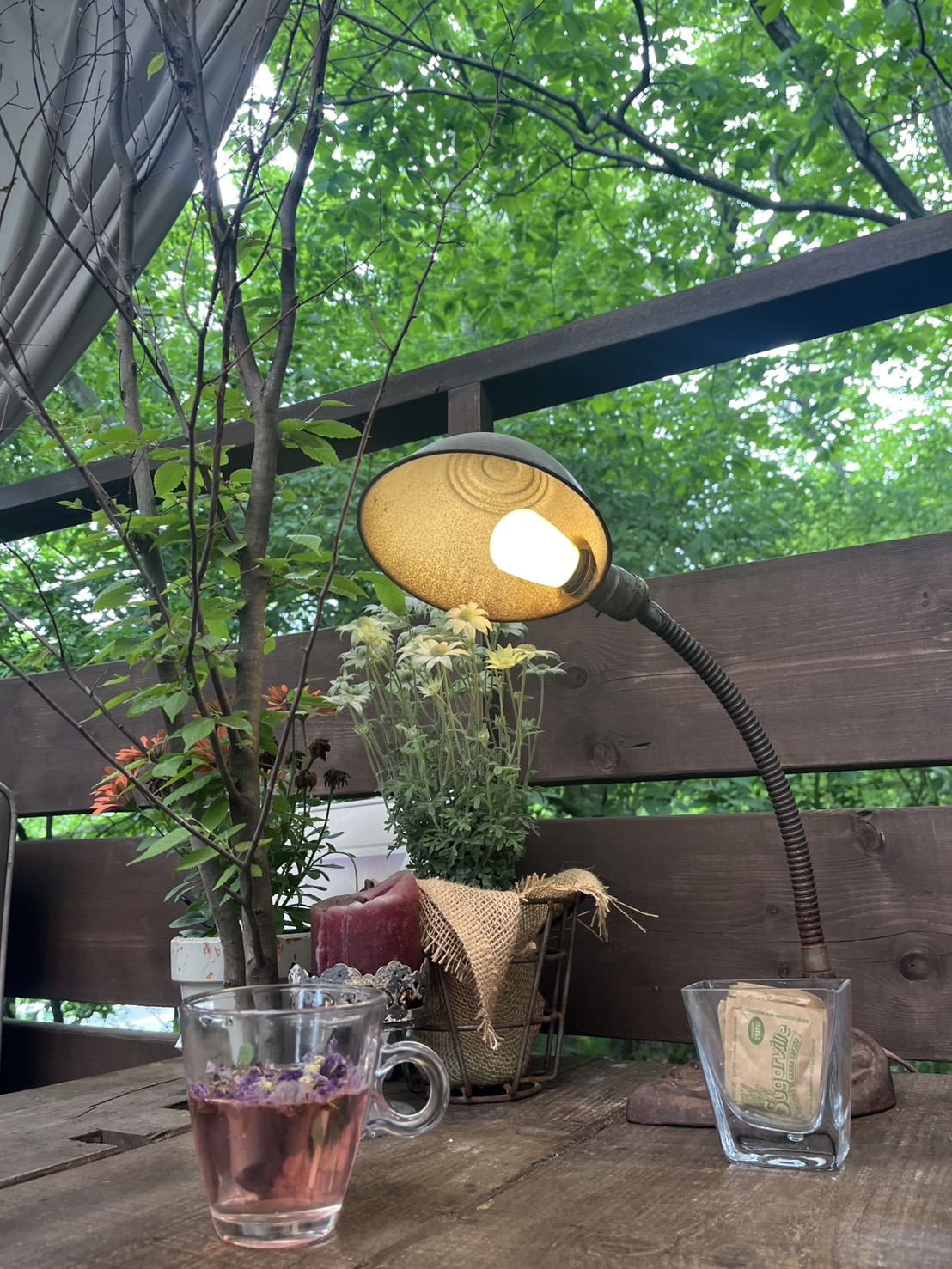 “本当に来てくれるとは思わなかった”バイト先のラーメン屋さんへ、行きました。大きな声で、ハキハキ 仕事してました。