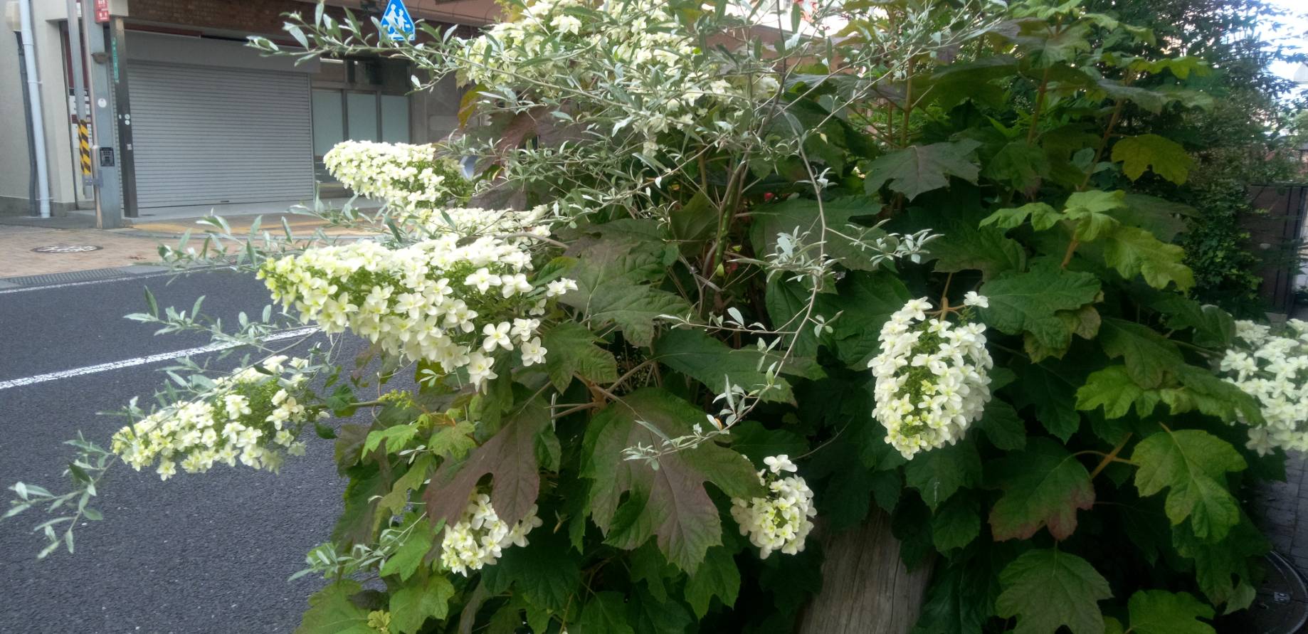 ～「人はなぜ自分を責めてしまうのか」（信田さよ子著・ちくま新書・2025刊）を読んで～