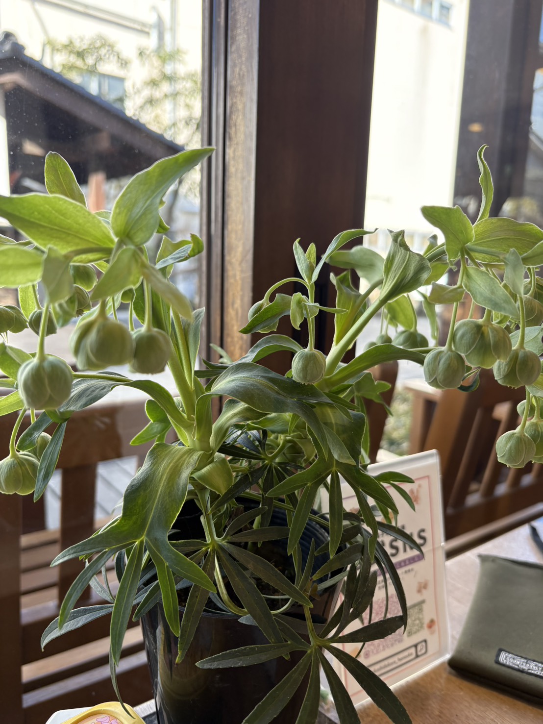 ひとりで大きな喫茶店の個人席で、3時間。社会福祉主事のレポートをしました。