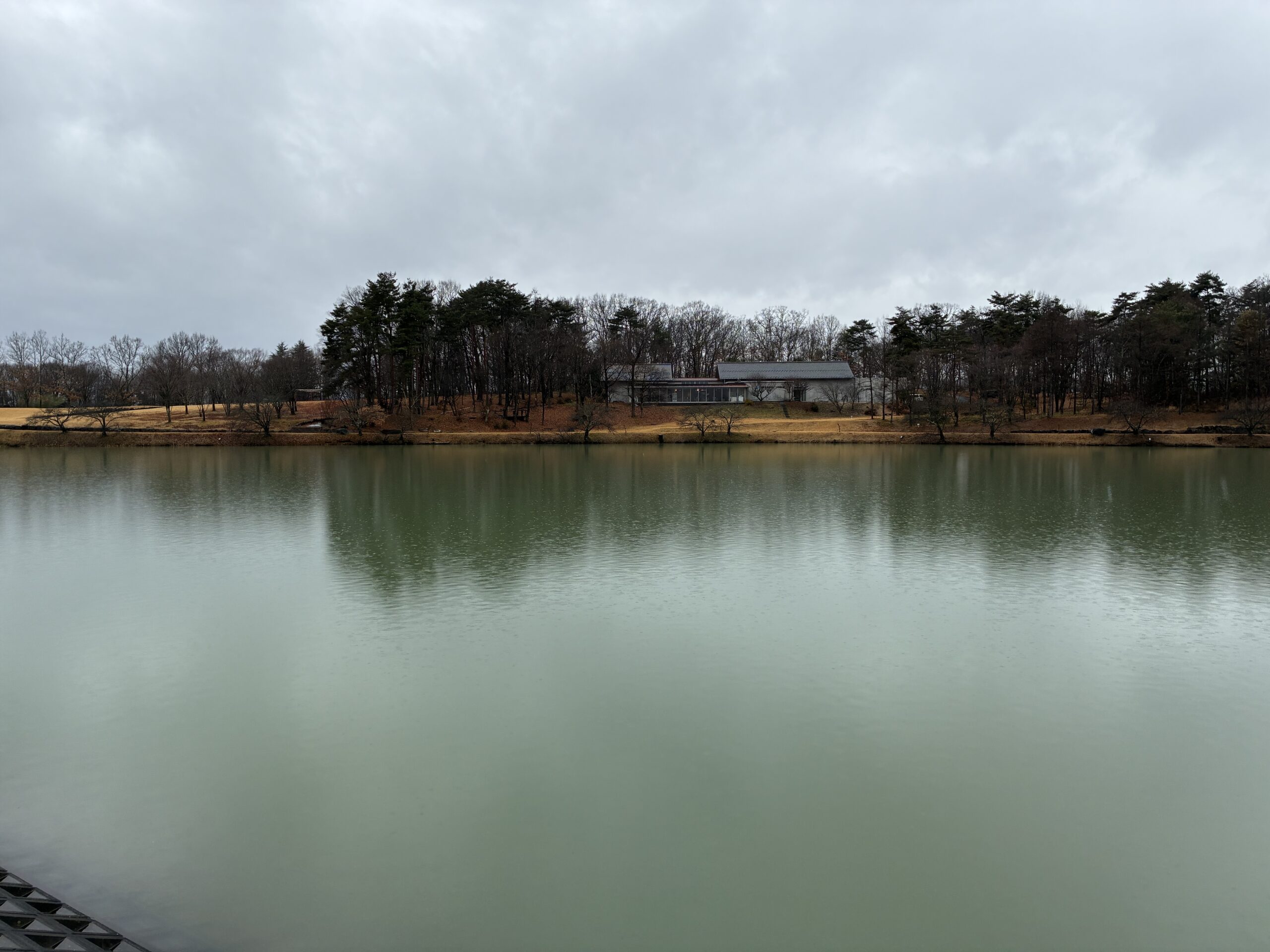 「アンチ・アンチェイジングの思想 ~ボーヴォワールの 「老い」 を読む~」(上野千鶴子著・みすず書房・2025刊) を読んで、考えたこと。