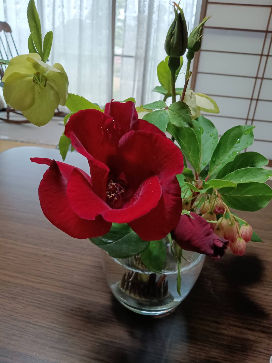 文明のスキャンダル(=挫折)の中から、共に老いの冒険に出ましょう。友情から生まれた恋愛は、凛としている。